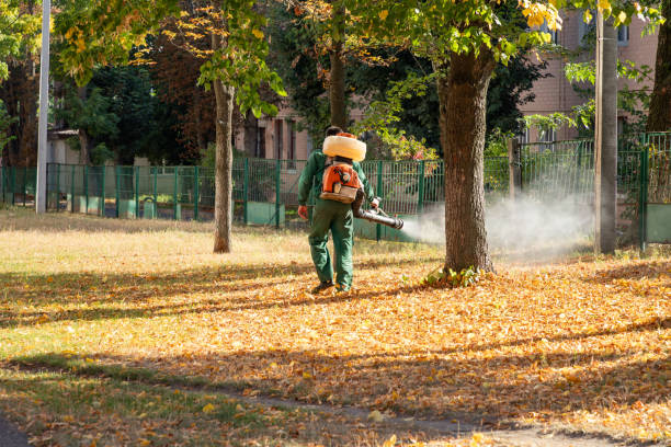 Best Mosquito Control Services  in Carlisle, OH